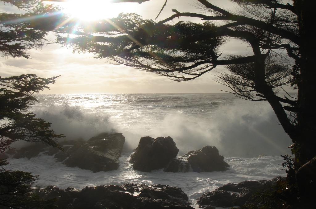 Waters Edge Shoreside Suites Ucluelet Exterior foto